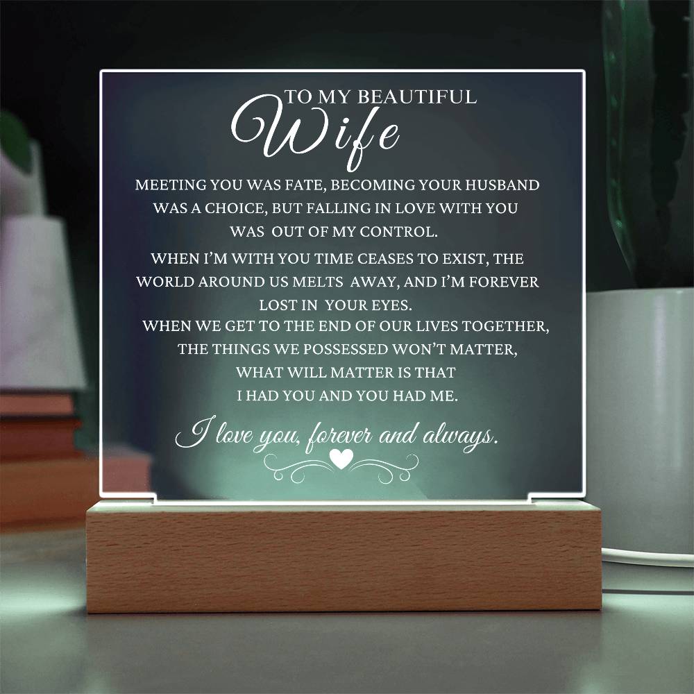 Gift To Wife: Meeting You Was Fate