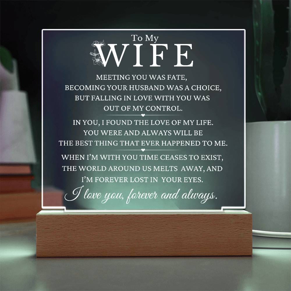 Christmas Gift To Wife - The Love Of My Life
