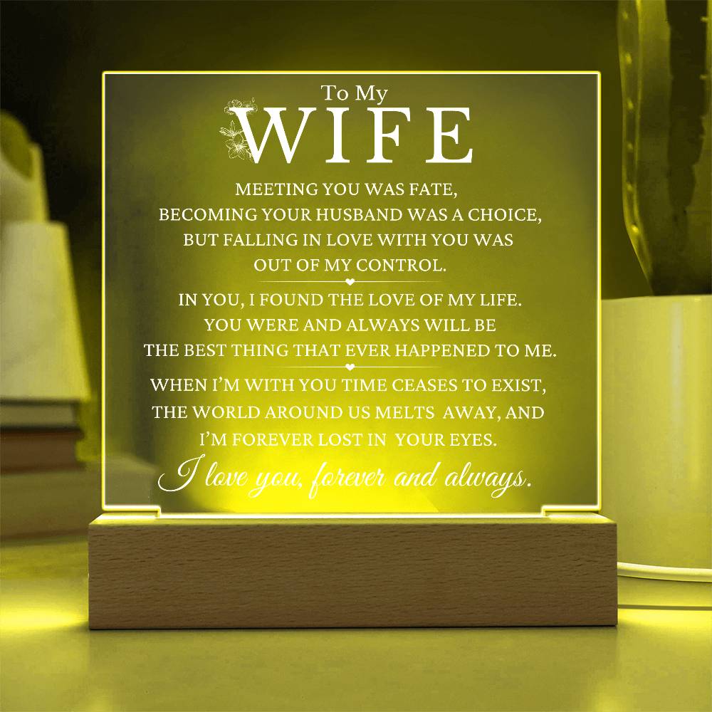 Christmas Gift To Wife - The Love Of My Life