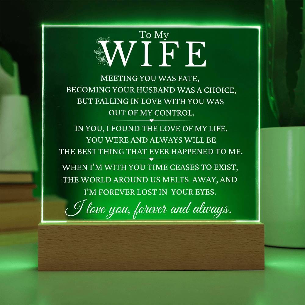 Christmas Gift To Wife - The Love Of My Life