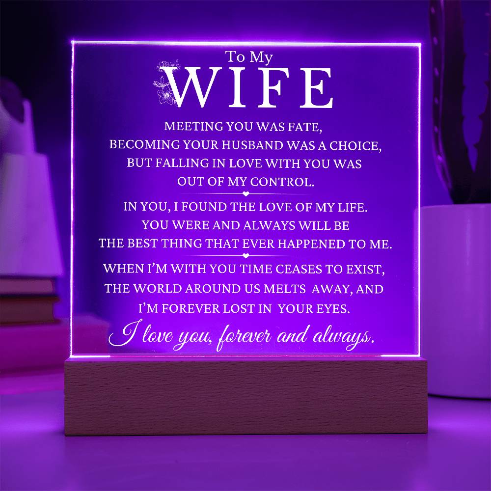 Christmas Gift To Wife - The Love Of My Life