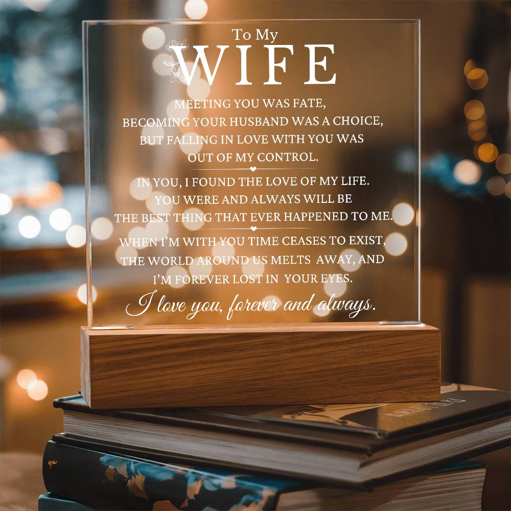 Christmas Gift To Wife - The Love Of My Life
