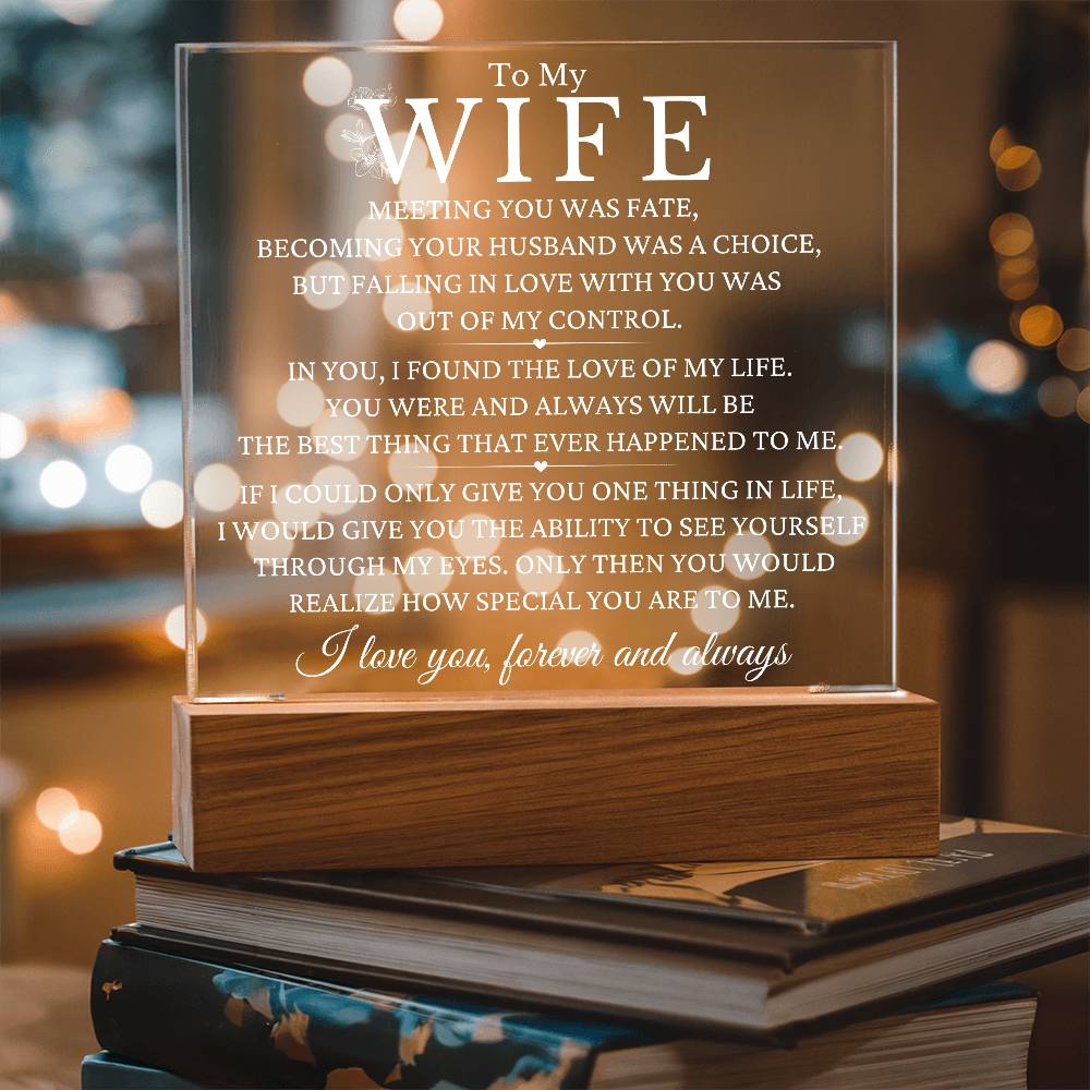 Meeting You Was Fate - Christmas Gift To Wife